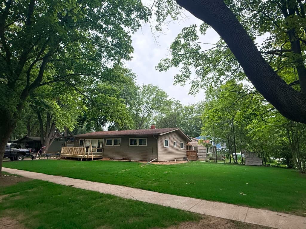 Lawn renovation after — thick established turf