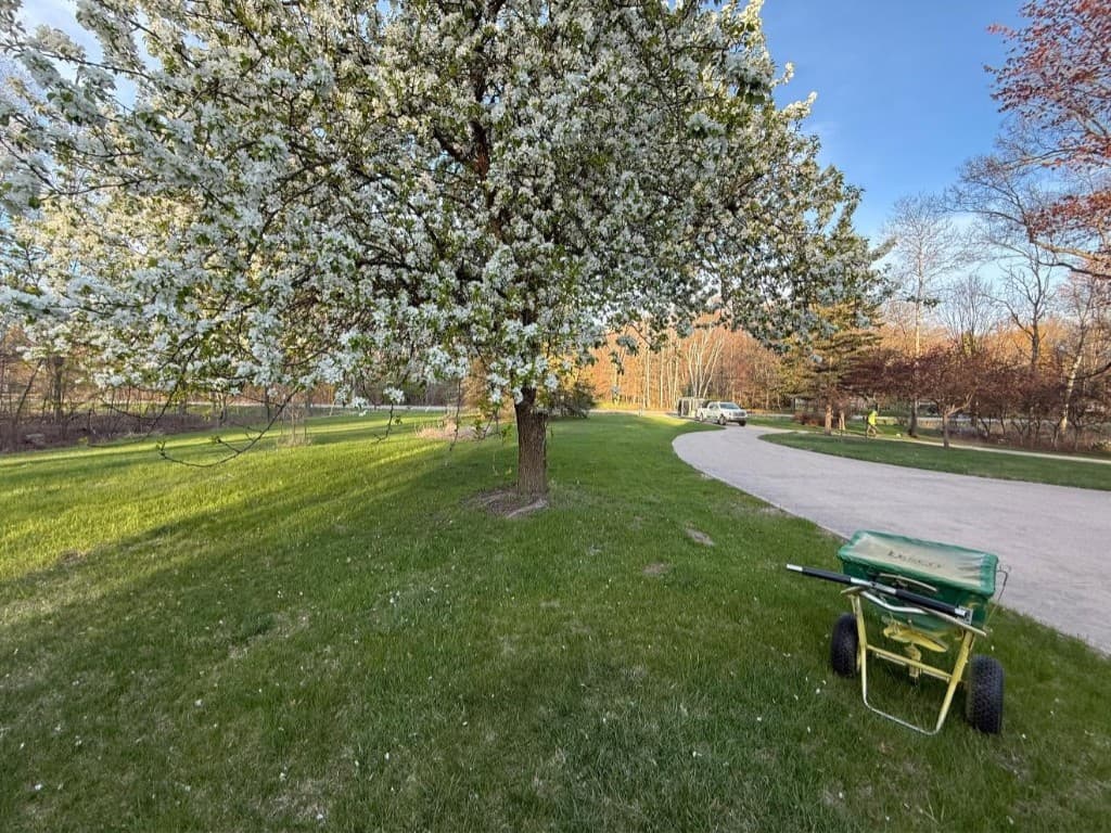 Flowering tree and shrub care on a Midland property