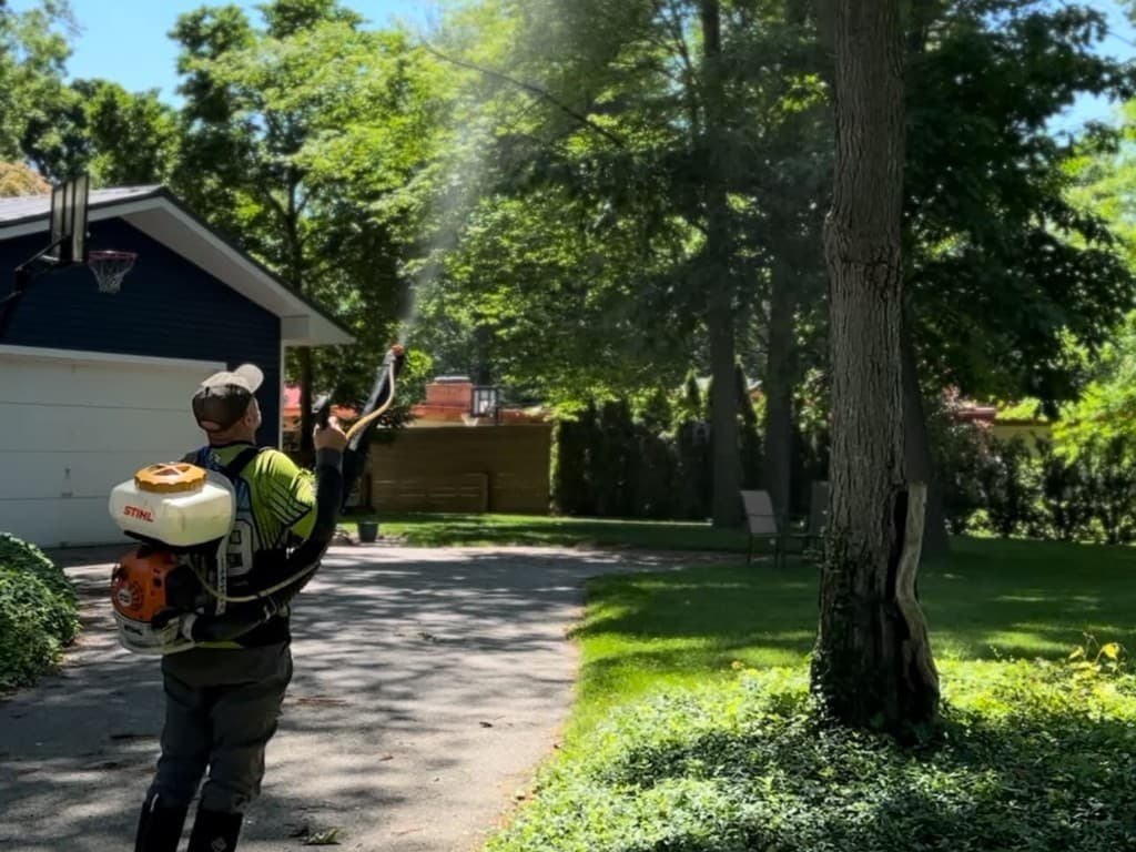 Tree care treatment being applied to a Midland property