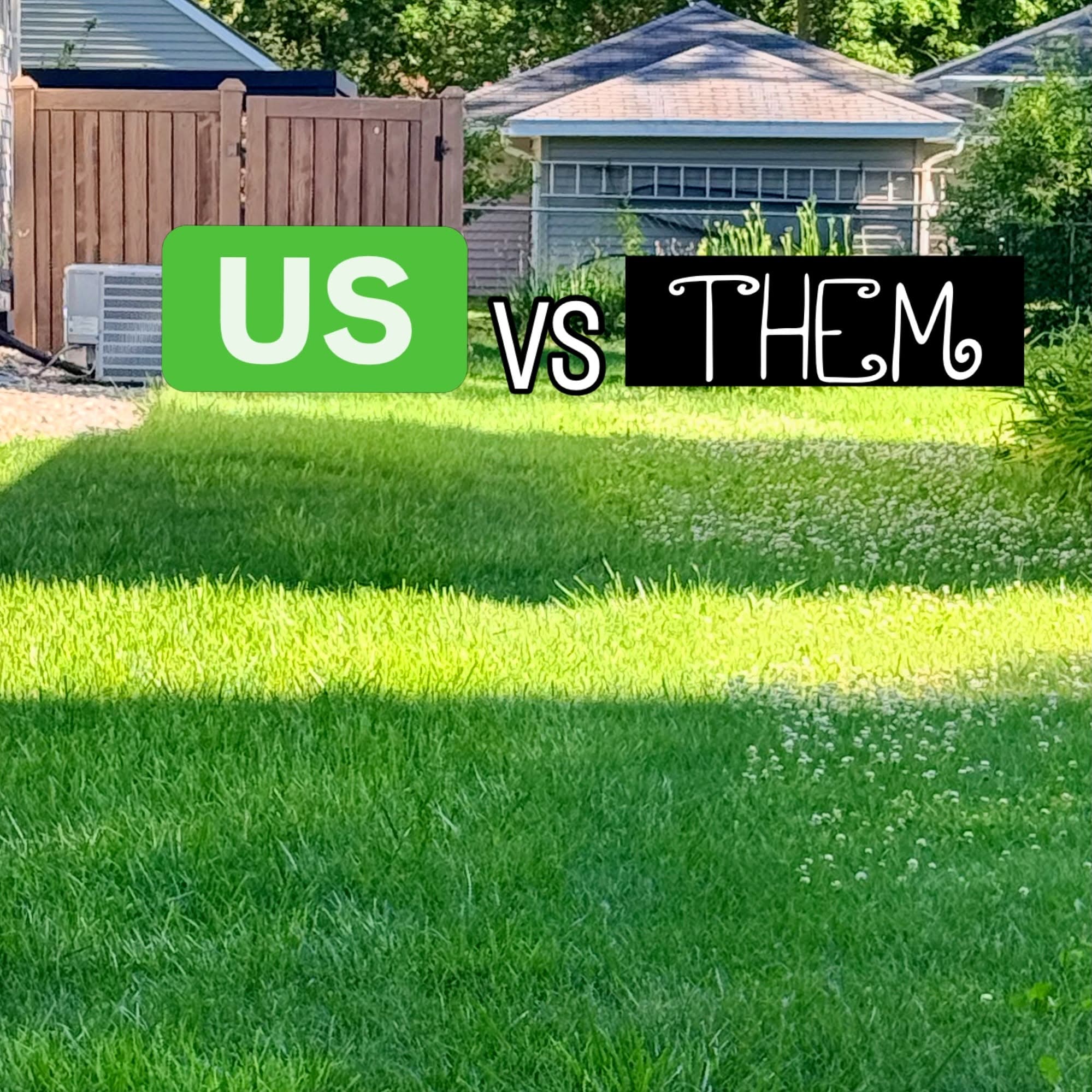 Weed-free lawn versus weedy turf